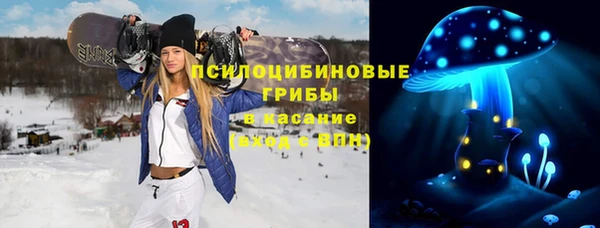 спиды Алексеевка