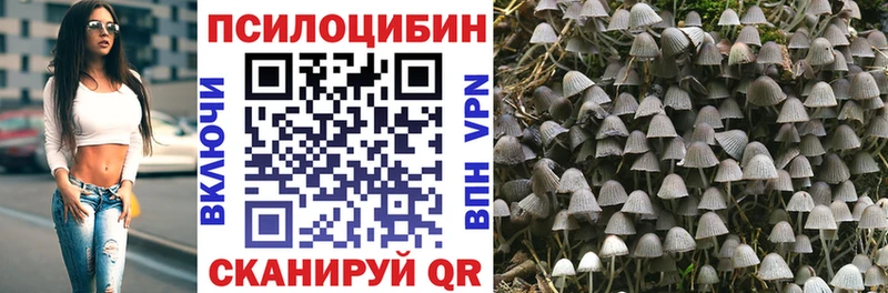 KRAKEN рабочий сайт  Белорецк  Псилоцибиновые грибы Cubensis 